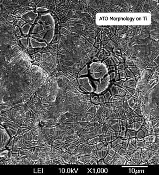 [ATO Morphology]